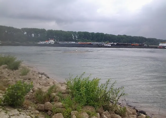 Nyaraló Hof Am Rhein