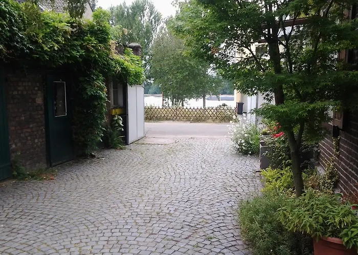 Hof Am Rhein *